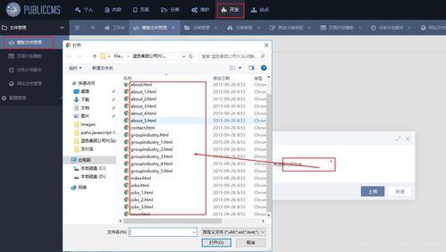 public cms搭建網站 一 public cms,網站配置 綠林尋貓 csdn博客