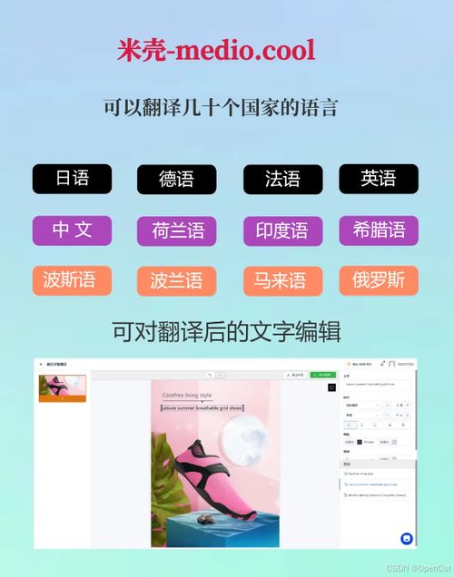 做跨境不能錯過的神器 粘貼商品鏈接翻譯產品圖