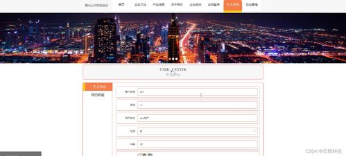 python vue計算機畢業設計橙光公司網站設計v74jr 源碼 程序 lw 部署